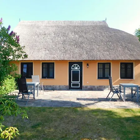 Sterntaucher App 1 *